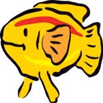gold fish