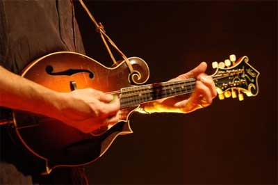 Mandolin