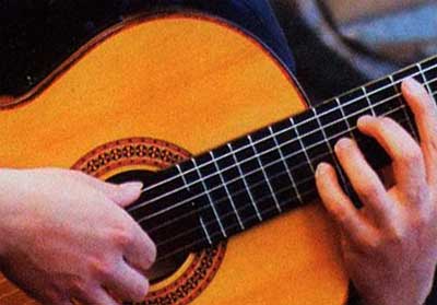 Guitar