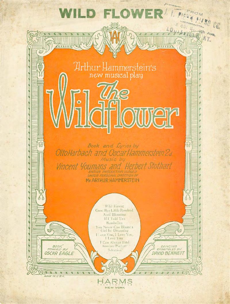 Wild Flower (The Wild Flower, 1923)