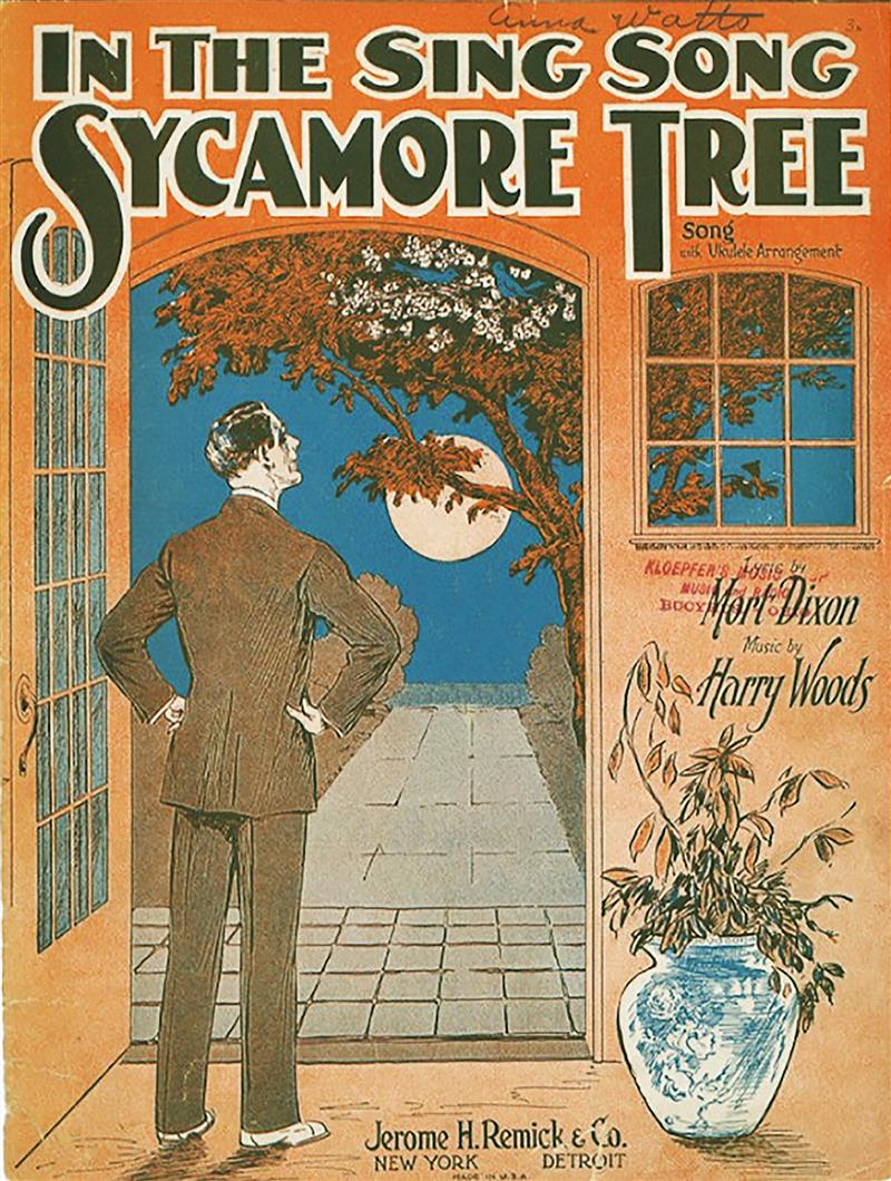 In The Sing Song Sycamoe Tree