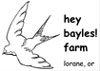 hey bayles! farm